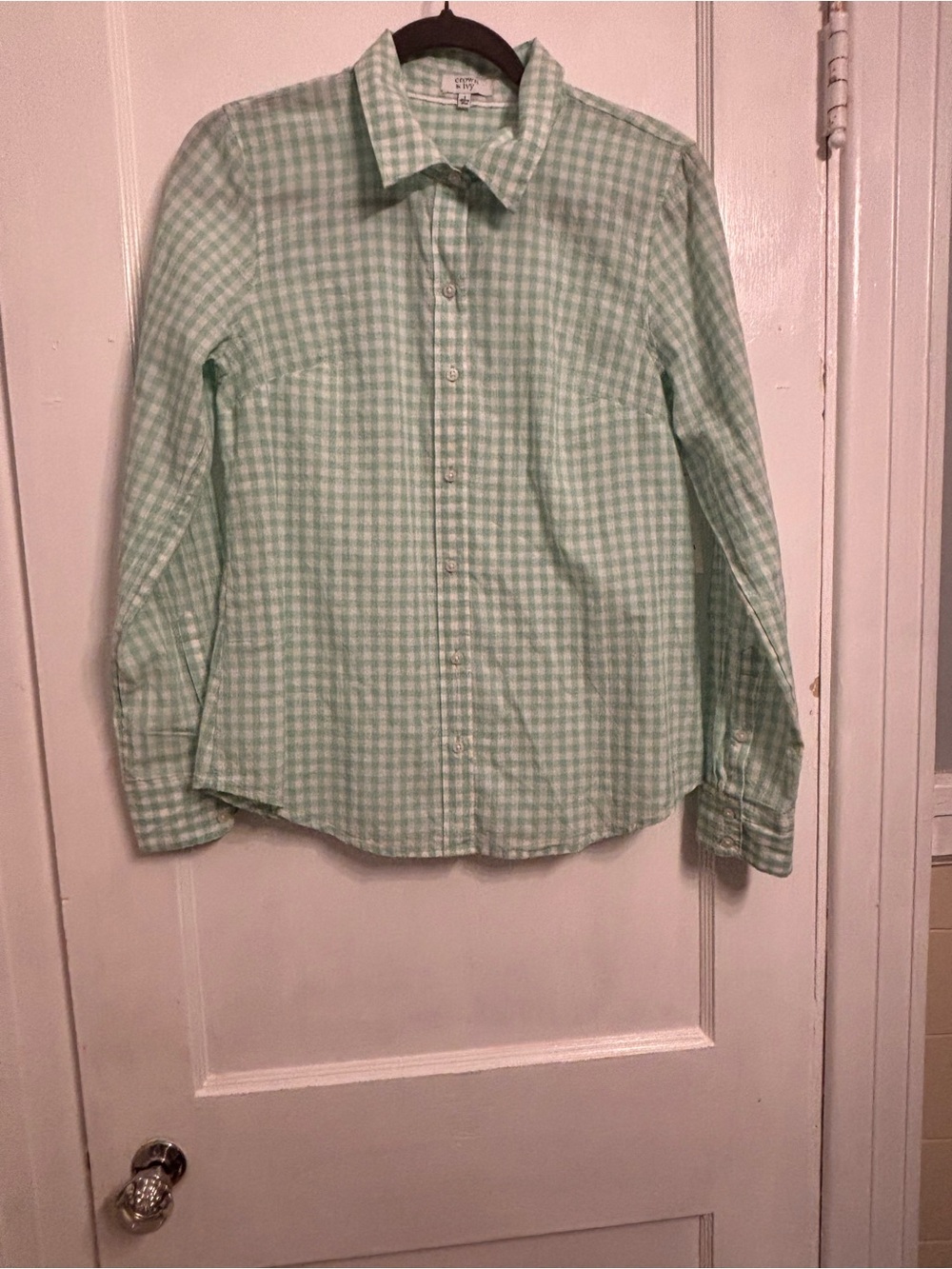 Mint Women's Mint Green Gingham Button-Down Shirt ~NWT